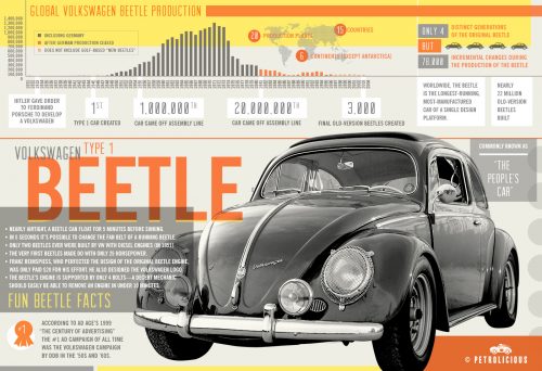 beetle-infographic