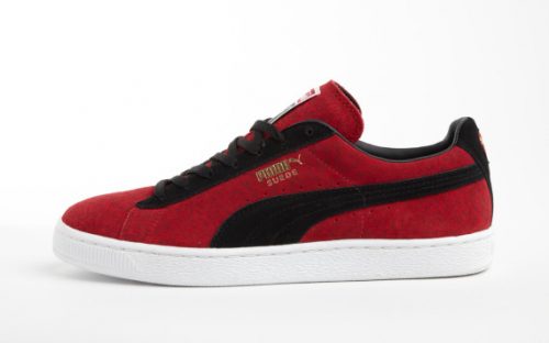 puma-animal-1