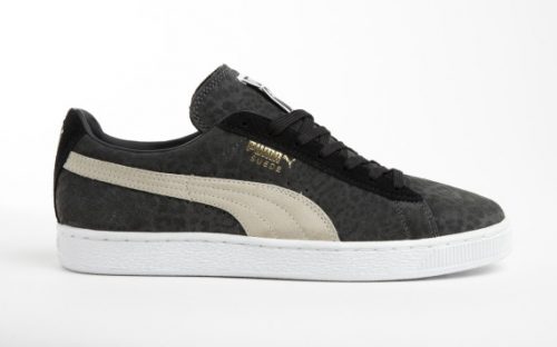 puma-animal-2