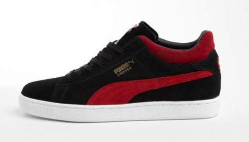 puma-animal-3