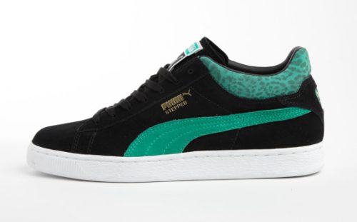 puma-animal-4