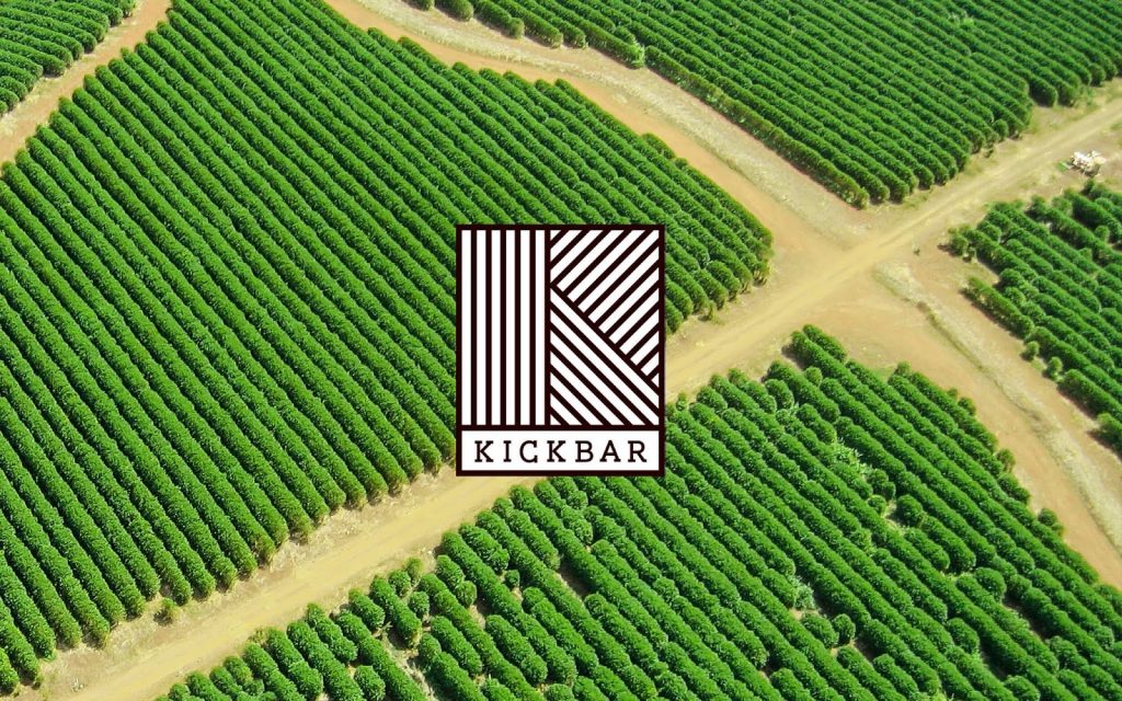 Kickbar packaging and identity