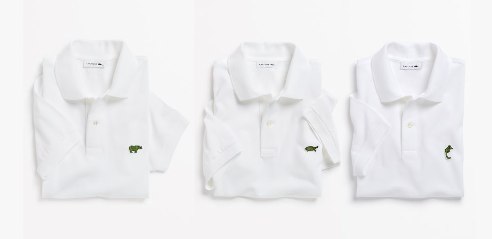 Buy lacoste 2024 save our species